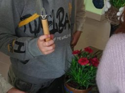 Rok szkolny 2024-2025 - 099 - Warsztaty florystyczne w klasie 1c